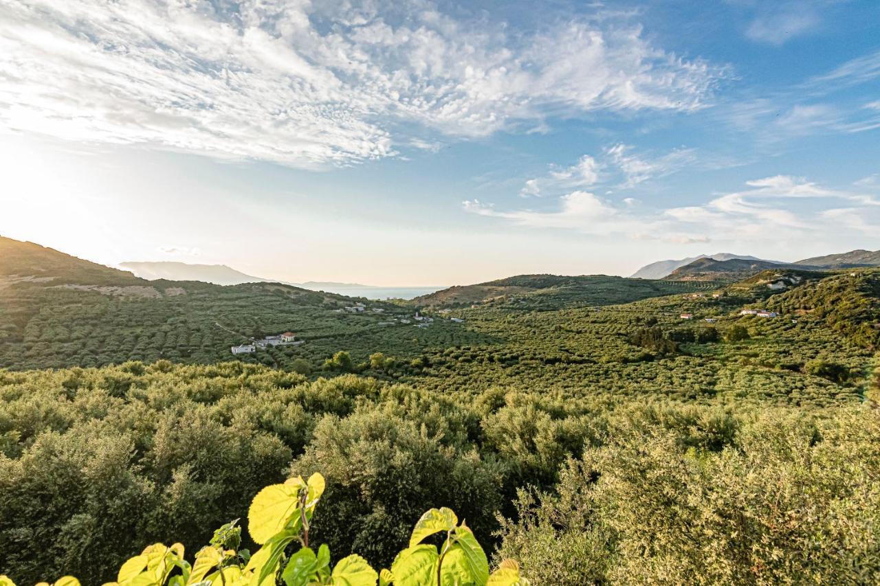 Rikanthos Stone Sea View Apartment Ι Falelianá Exterior foto